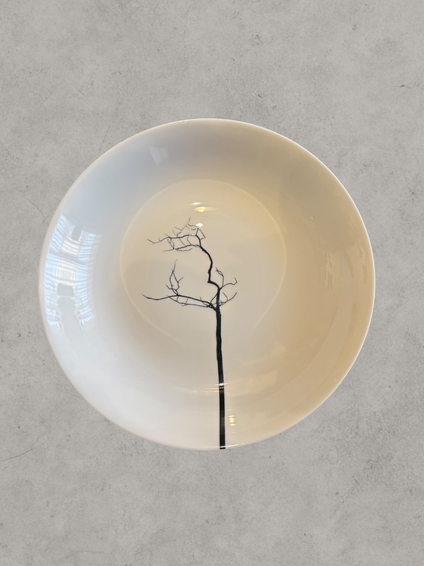 Plato sopa árbol negro