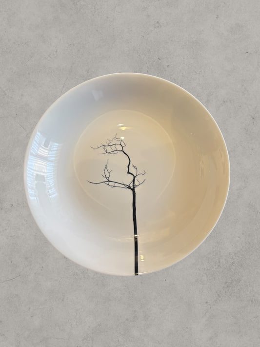 Plato sopa árbol negro