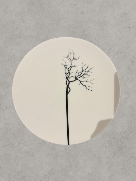 Plato llano Árbol negro