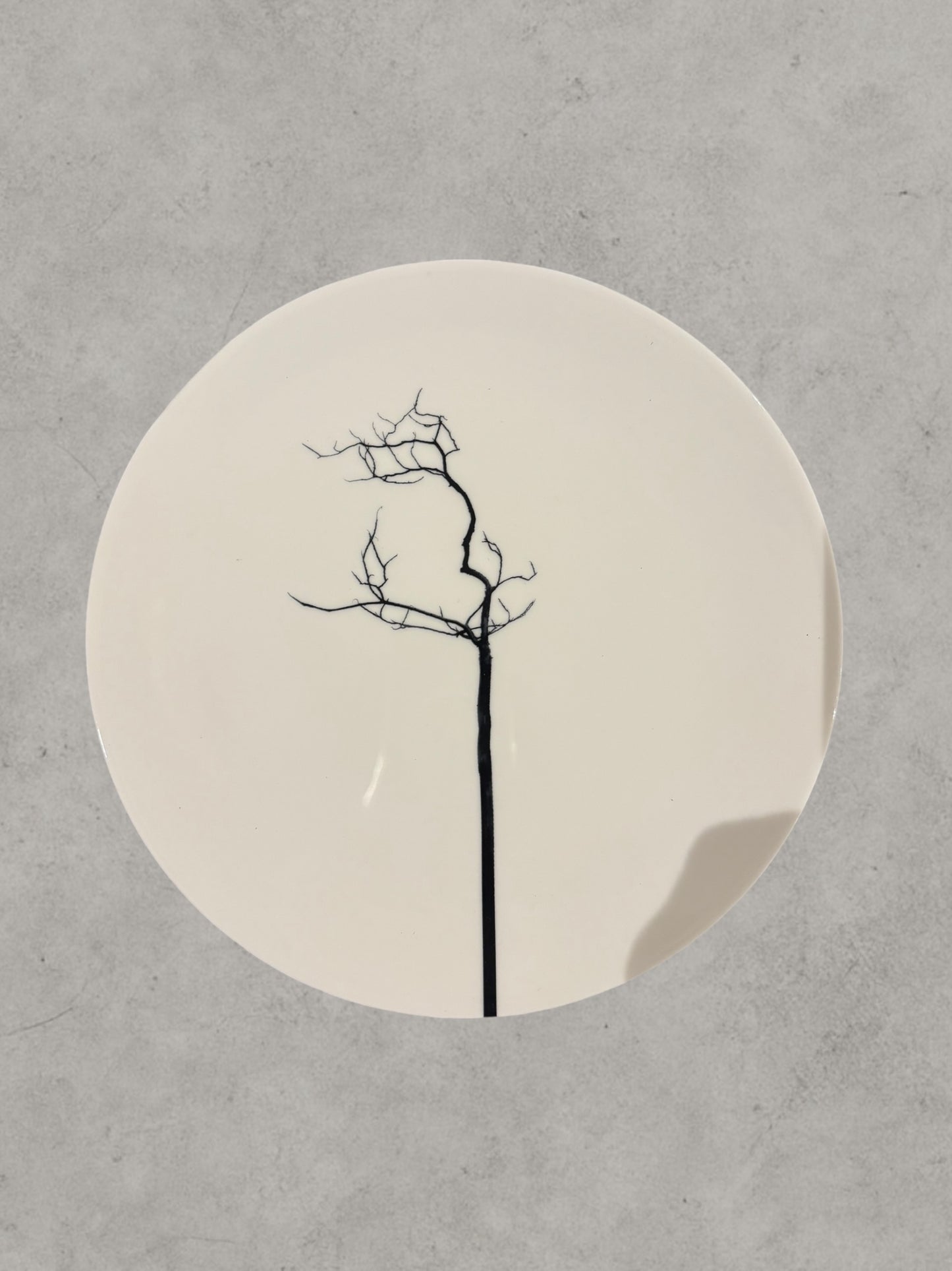 Plato postre y ensalada árbol negro